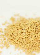 玄米酵素は豊富な栄養素を含有！