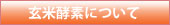 玄米酵素について